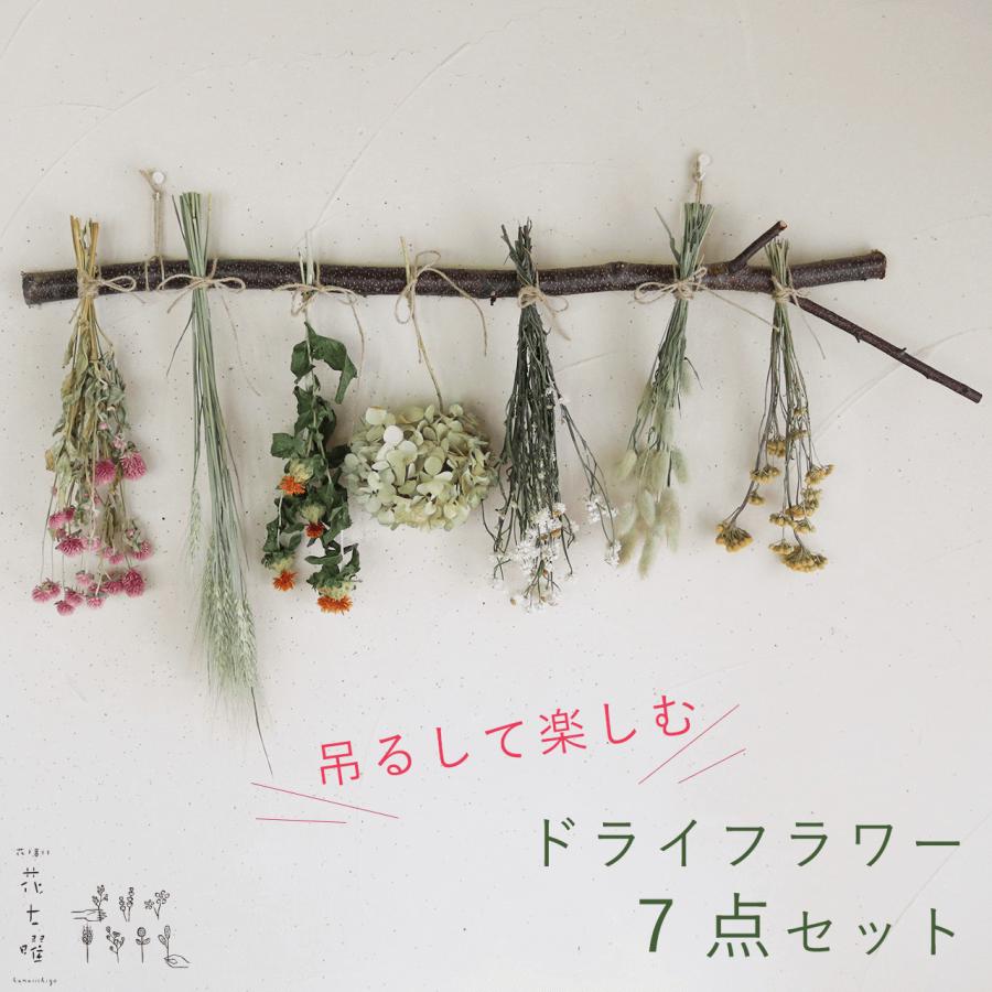 吊るして楽しむ♪ ドライフラワー7点・富良野の白樺若枝セット