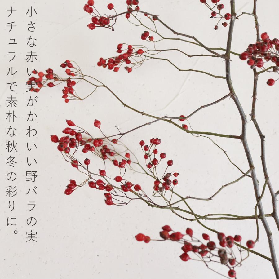 大枝 赤い実 長さ約60cm〜80cm】 野バラの実 ◇ドライフラワー / 花材
