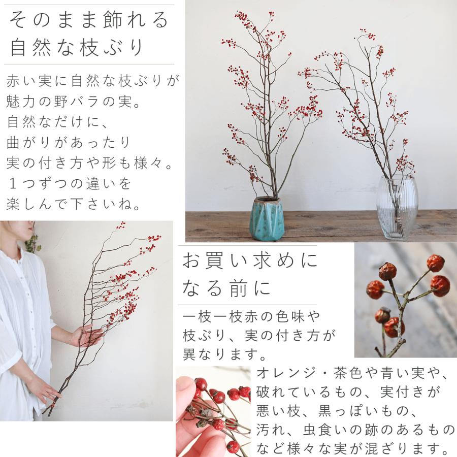 大枝 赤い実 長さ約60cm〜80cm】 野バラの実 ◇ドライフラワー / 花材