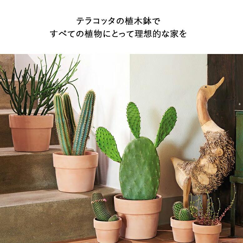 植木鉢 素焼き テラコッタ 13号鉢 大きい 陶器 プランター 浅鉢 DEROMA