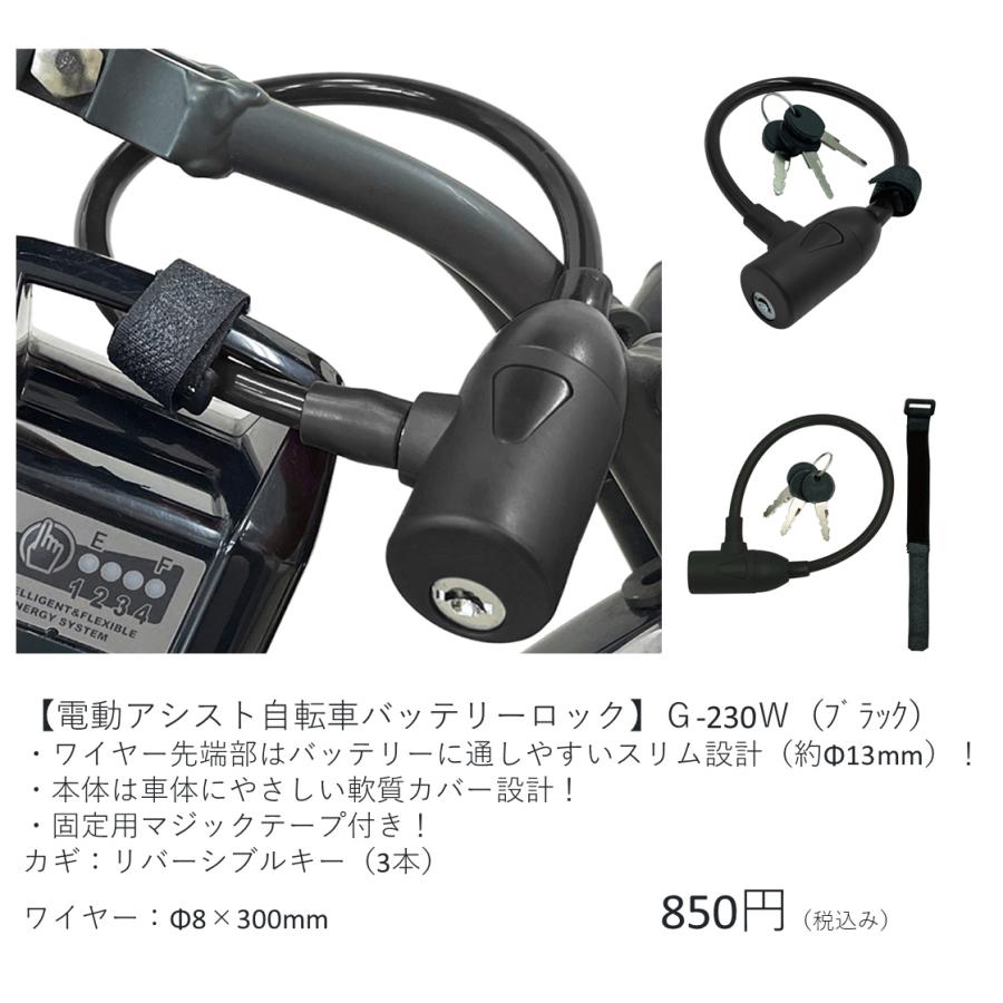 Panasonic（パナソニック） 電動自転車 子供乗せ SW（エスダブリュ