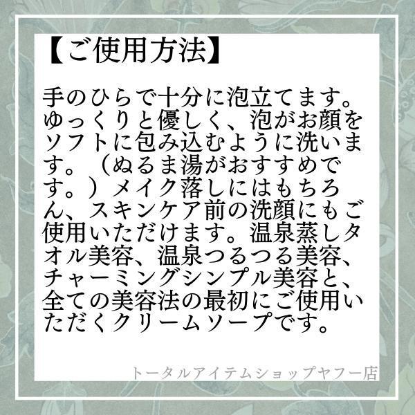 イオン化粧品 クリームソープ 120g 【送料無料・即日発送】 : トータル