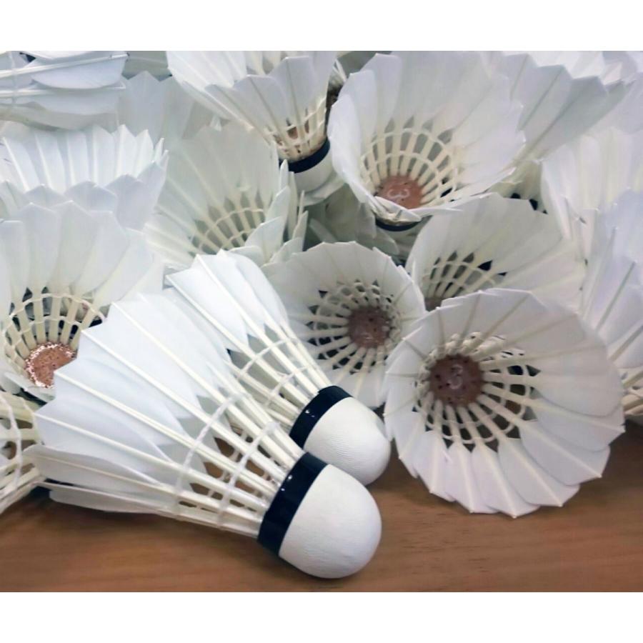 数量限定 訳ありアウトレットシャトル 激安 バドミントン シャトル