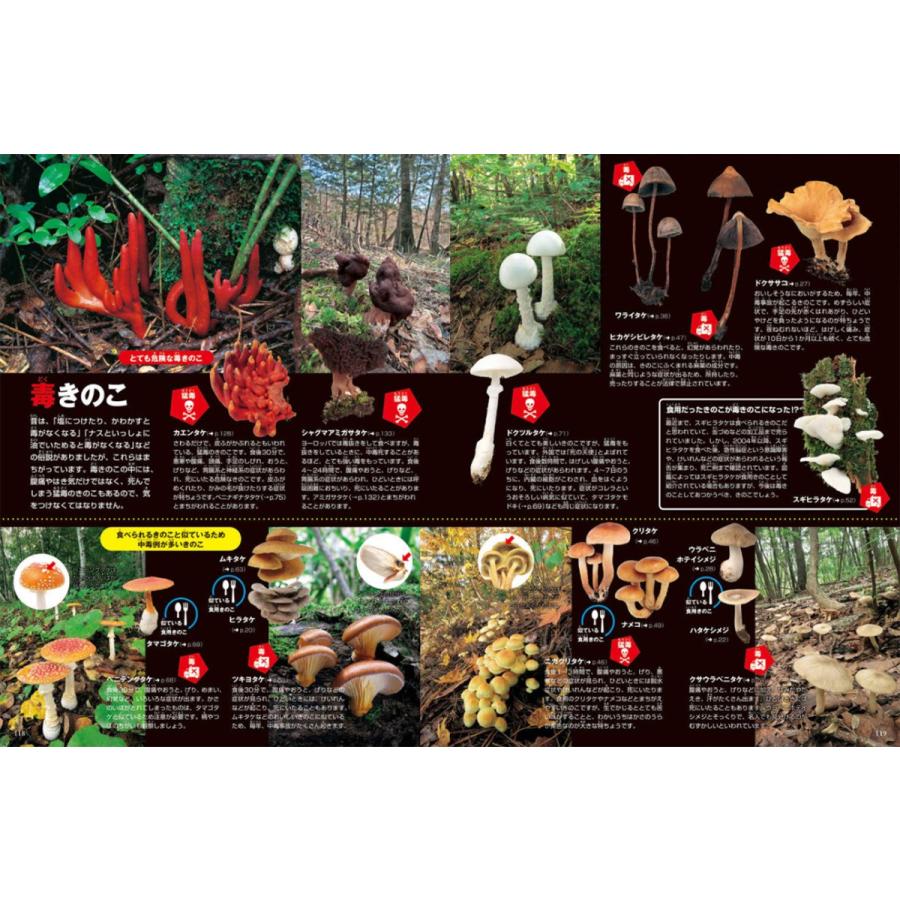 小学館の図鑑NEO) きのこ DVDつき［改訂版］ : 枚方 蔦屋書店 Yahoo