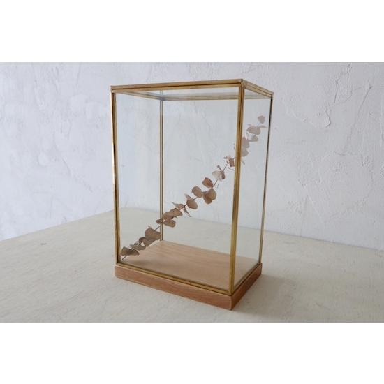 真鍮ガラスケース+オーク材台座【L】 ディスプレイケース アクセサリー