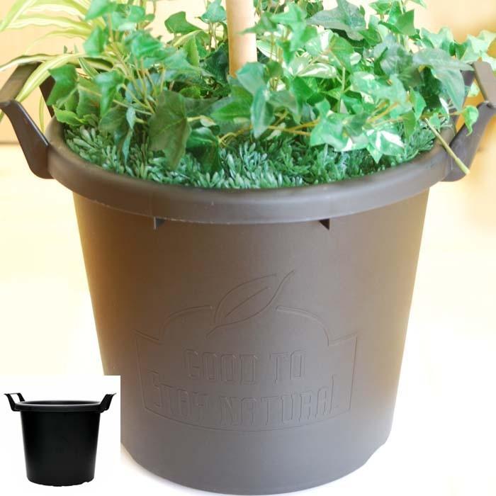 フェイクグリーン 光の楽園 光触媒 人工観葉植物 オリーブ1.6m : 光の