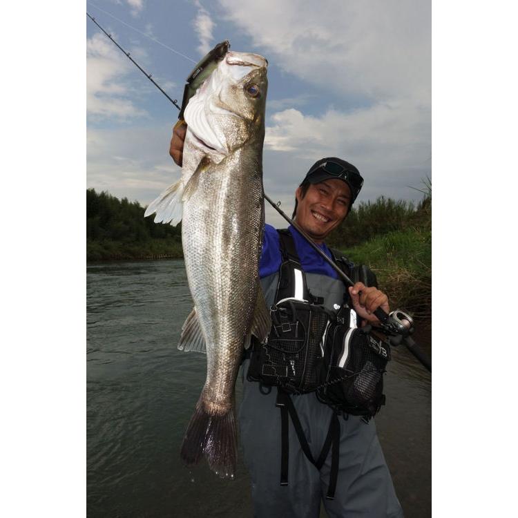 Ballistick ヤマガブランクス シーバスロッド バリスティック ベイト