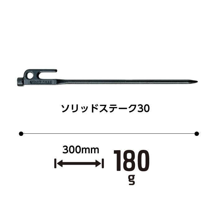 snow peak（スノーピーク） ペグ 6本セット 30cm ソリッドステーク30 R