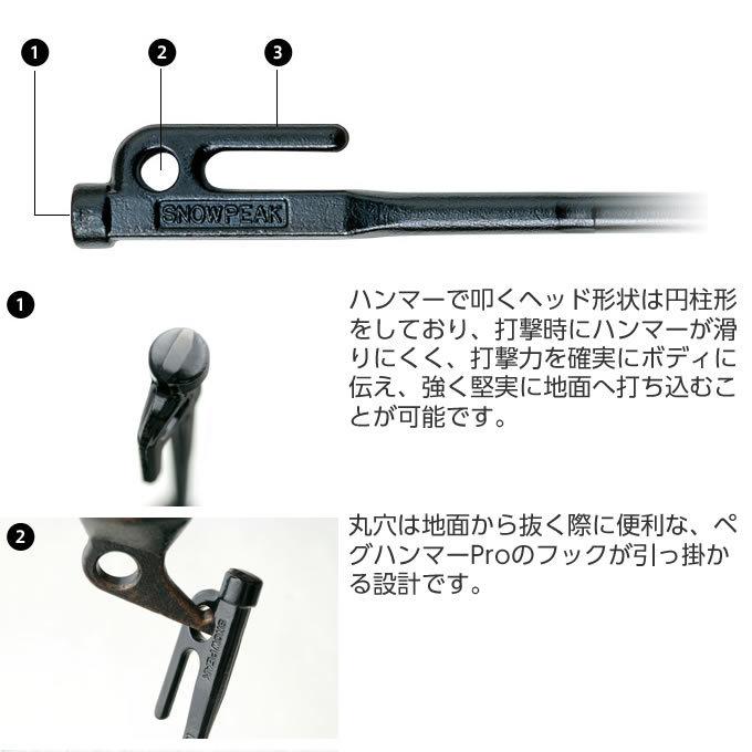 snow peak（スノーピーク） ペグ 6本セット 20cm ソリッドステーク20 R