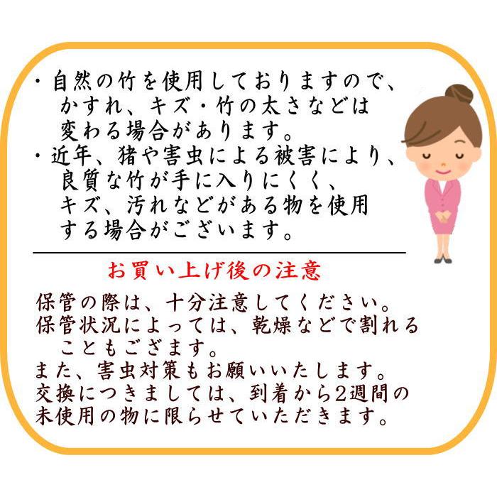 茶道具 銘付茶杓 銘 若松 尋牛斎書付 久田宗也宗匠 下削り 黒田宗傳作