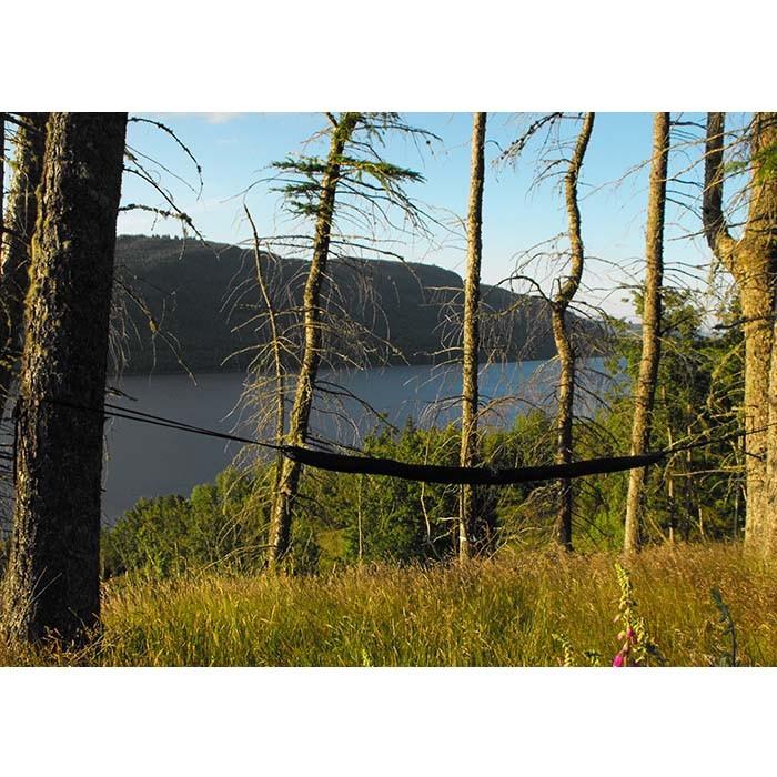 DD Hammocks DDハンモック スリーブ DD Hammock Sleeve DD Hammocks