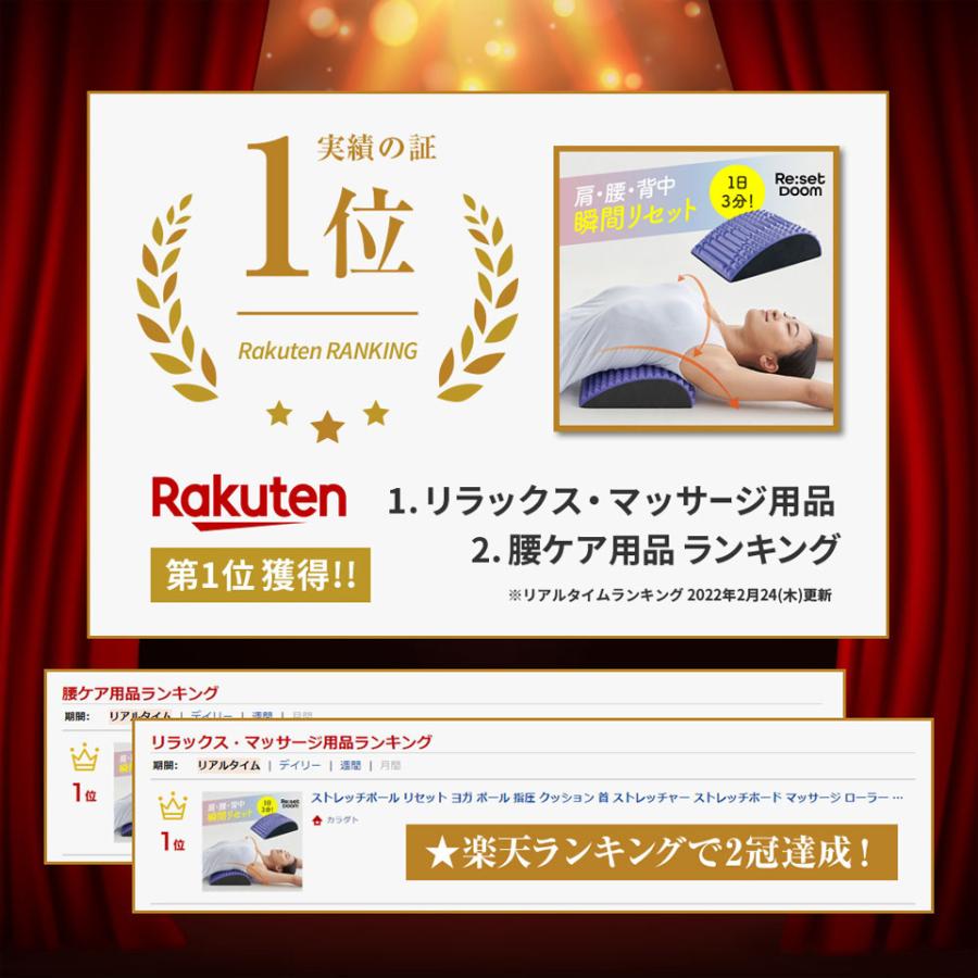 リセットムーブメント DVD 基礎・応用セット リセットドーム