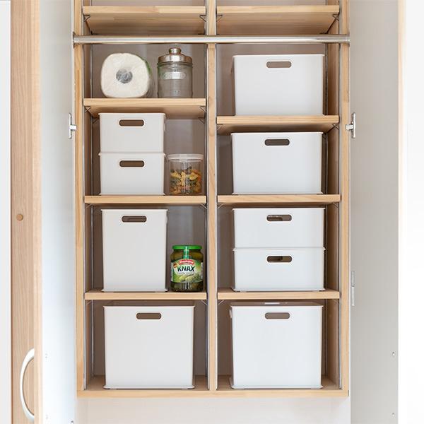 収納ボックス 収納ケース インボックス L プラスチック 日本製 （ 小物