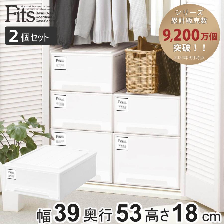Fits 収納ケース フィッツケース クローゼット S-53 2個セット