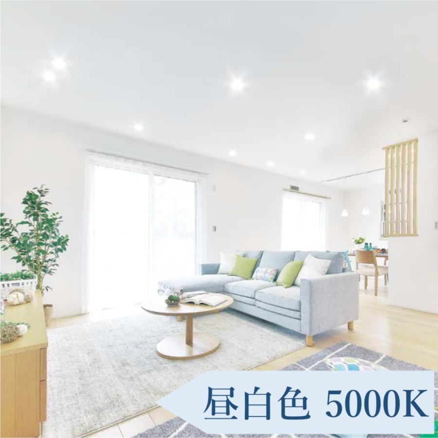 IRIS OHYAMA（アイリスオーヤマ） ダウンライト LED 150φ LED照明器具