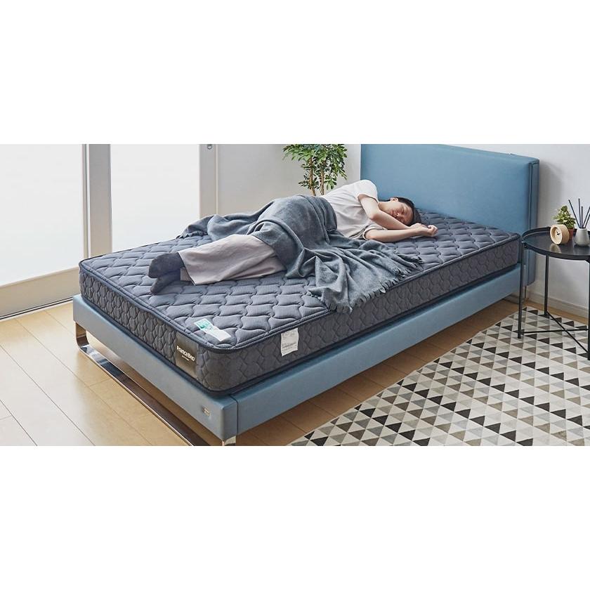 フランスベッド（FRANCEBED） マットレス ワイドダブル 2年保証 寝返り