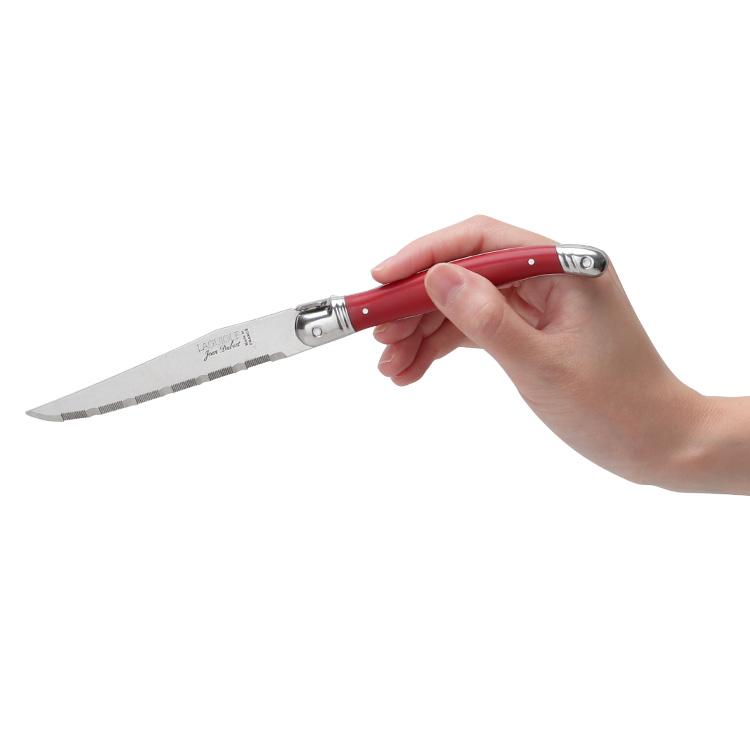 ジャンデュボ ライヨール ステーキナイフ Jean Dubost [ネコポス対応可