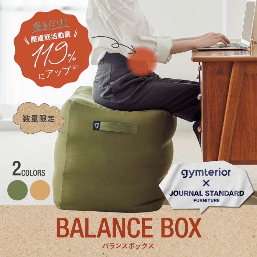 gymterior（ジムテリア） バランスボール トレーニング ダイエット 体