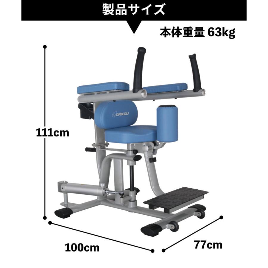 DAIKOU（ダイコー） ロータリートーソ 油圧マシン DK-670 機能訓練
