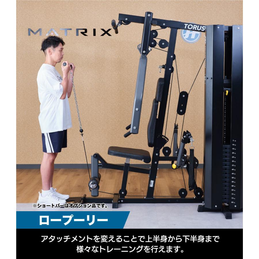 マルチジム ホームジム 筋トレ ケーブルマシン TORUS3 トレーニング