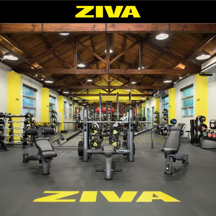 パワーラック パワーケージ ボックスタイプ ウエイトトレーニング 筋