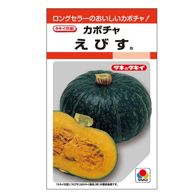 タキイ種苗 カボチャ 種 えびす RF(小袋） : イケダグリーンセンター