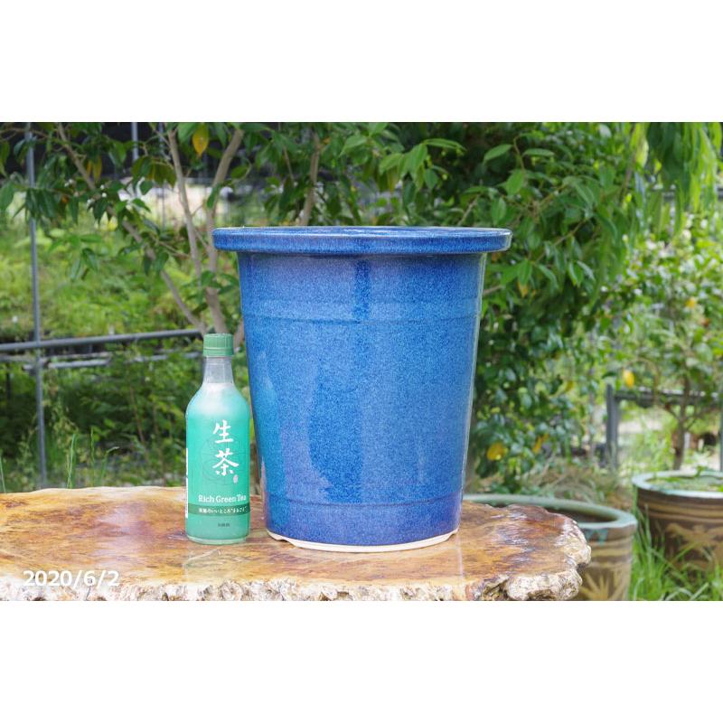 信楽焼 植木鉢 生子懸崖鉢 10号（直径31.5cm 高さ33cm） 【送料無料