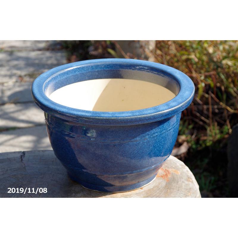 信楽焼 植木鉢 陶器 大型 生子輪型 13号（直径40.5cm 高さ22cm