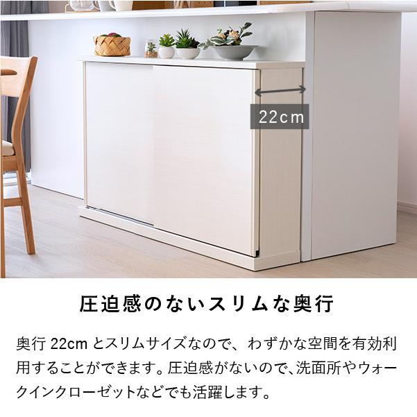一生紀（ISSEIKI） カウンター下収納 キャビネット キッチン収納 食器
