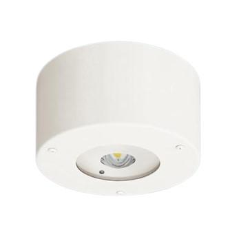 Panasonic（パナソニック） 【受注品】パナソニック NNFB87109 天井直