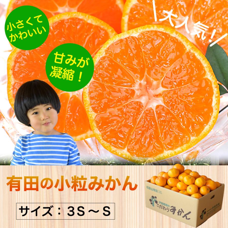 伊藤農園 みかん 5kg 訳あり 有田みかん 温州みかん 自宅用 小玉