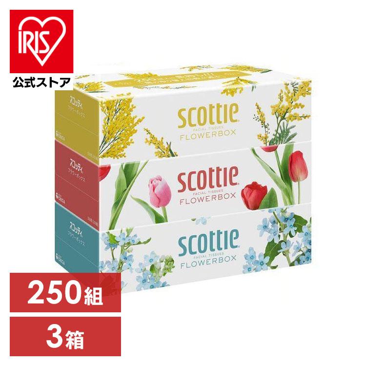 スコッティ フラワーボックス ティッシュ ティッシュペーパー 250組