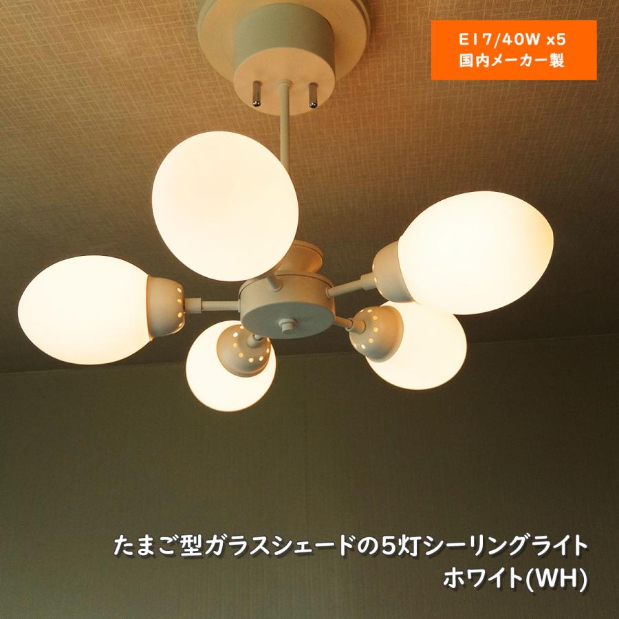シーリングライト 天井照明 5灯 スポットライト ホワイト 乳白ガラス