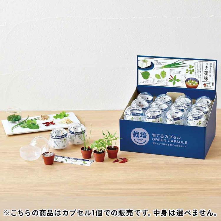 栽培キット 薬味 聖新陶芸 SEISHIN やくみ 青じそ 三つ葉 ねぎ わさび