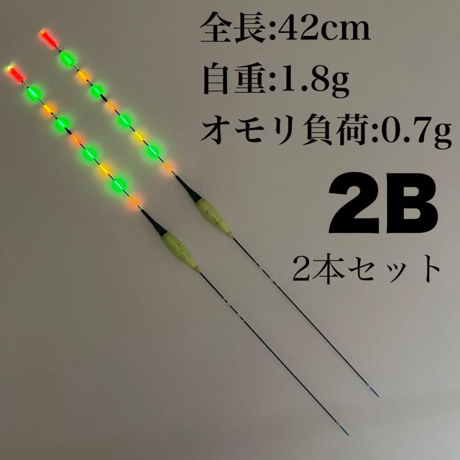2本セット 棒ウキ 2B 高感度ヘラウキ 9点発光 夜釣り 電気ウキ Y-916