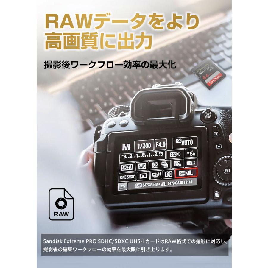 SanDisk（サンディスク） ポイント2倍 SDXCカード 256GB SanDisk