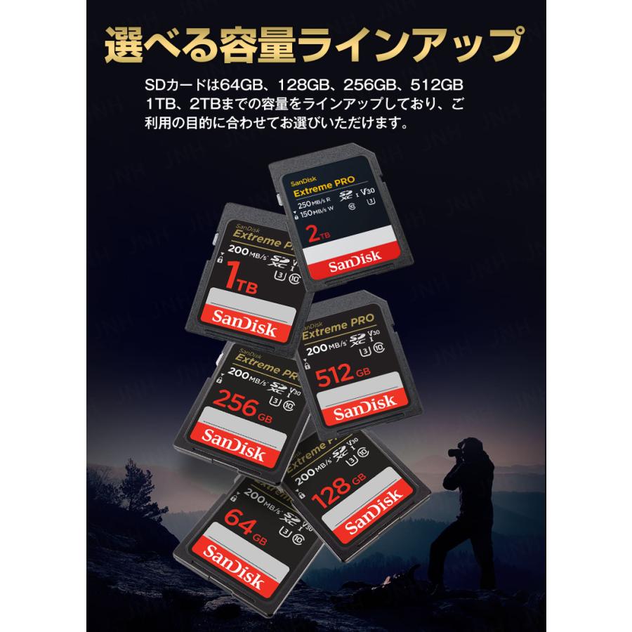 SanDisk（サンディスク） ポイント2倍 SDXCカード 256GB SanDisk