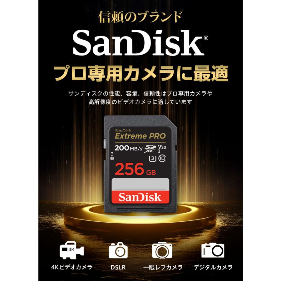 SanDisk（サンディスク） ポイント2倍 SDXCカード 256GB SanDisk