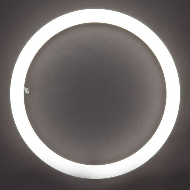 IRIS OHYAMA（アイリスオーヤマ） LED蛍光灯 丸型 丸形 LEDランプ 30形