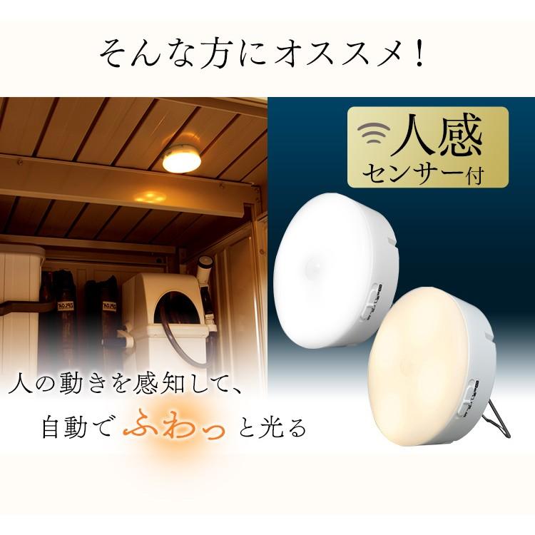 IRIS OHYAMA（アイリスオーヤマ） センサーライト 屋外 LED 屋内 電池
