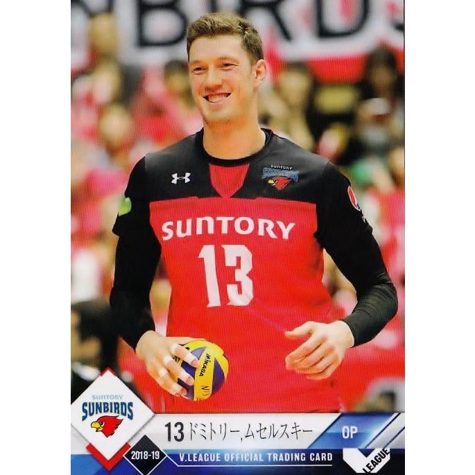 11 【ドミトリー・ムセルスキー/サントリーサンバーズ】2018-19 V