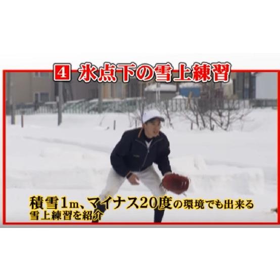 ジャパンライム 北海道野球の真髄 旭川工業 佐藤桂一 771-S 全2巻