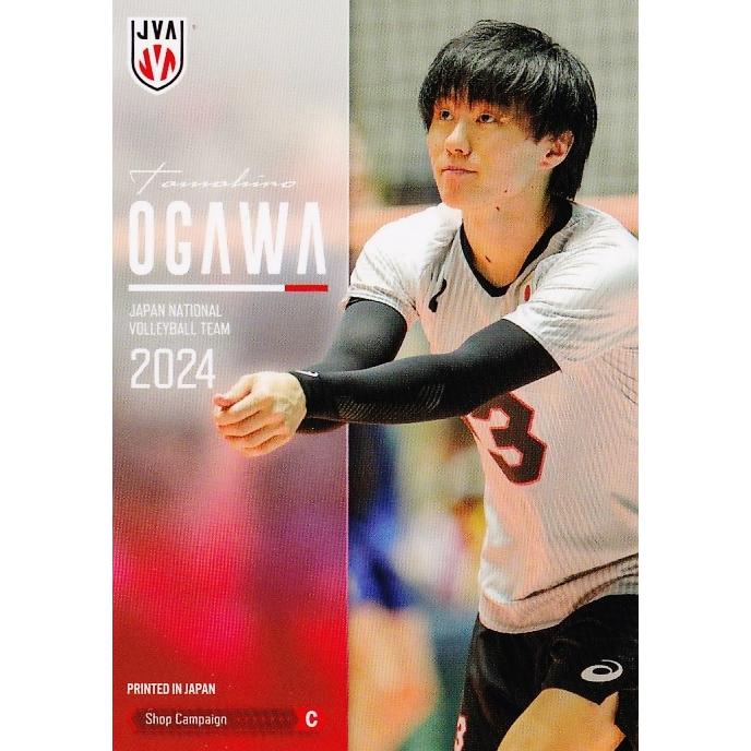 C【小川智大/石川祐希】2024 バレーボール男子日本代表 トレーディング