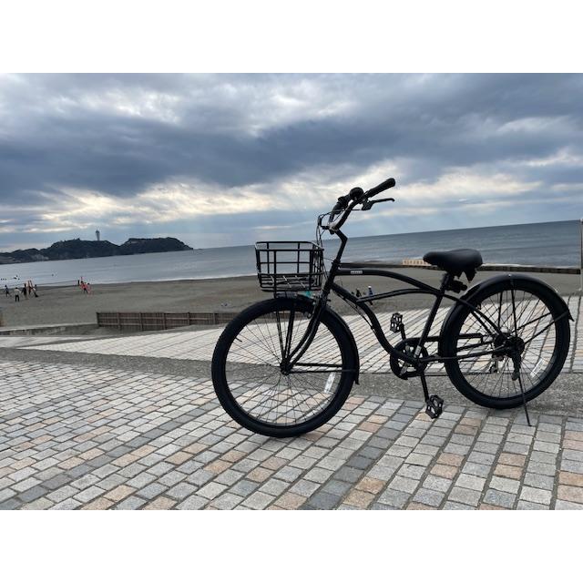 店頭販売のみ！ 】 HOLLY Beach Cruzer (ホーリー ビーチクルーザー