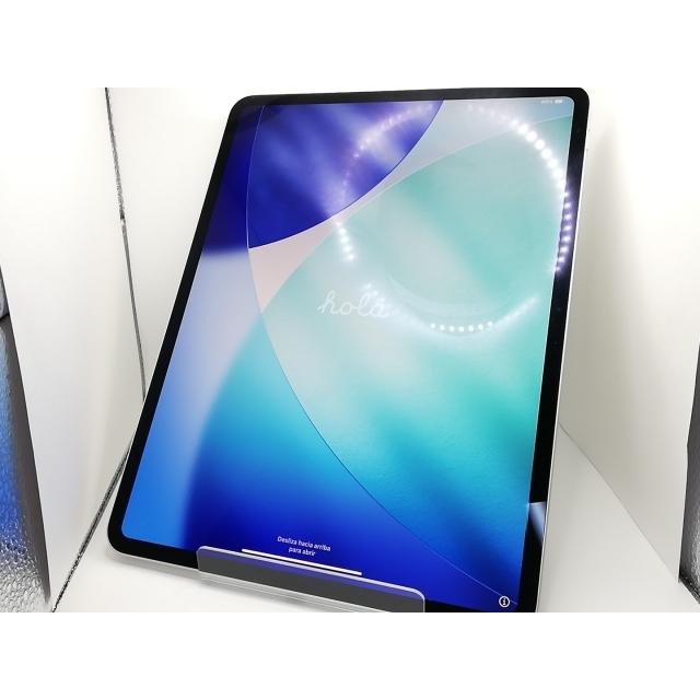 iPad Pro M5 2TB シルバー pencil付き Ntガラス Apple 11-in iPad Pro