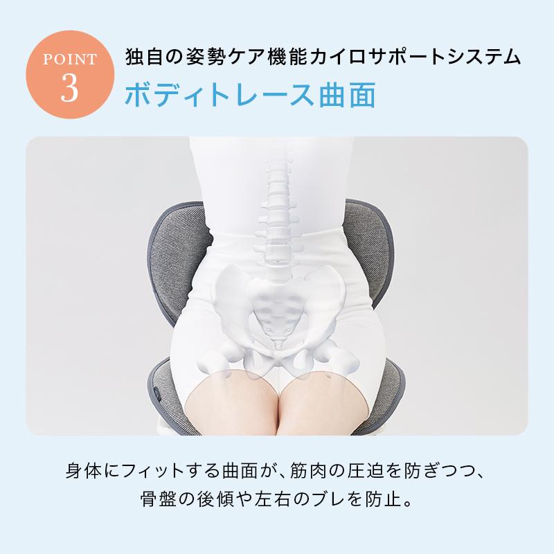 Style（スタイル） 姿勢ケアシート Style Standard スタンダード F01