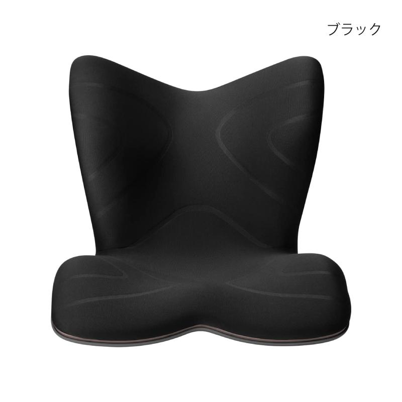 Style（スタイル） 姿勢ケアシート Style PREMIUM プレミアム MTG 骨盤