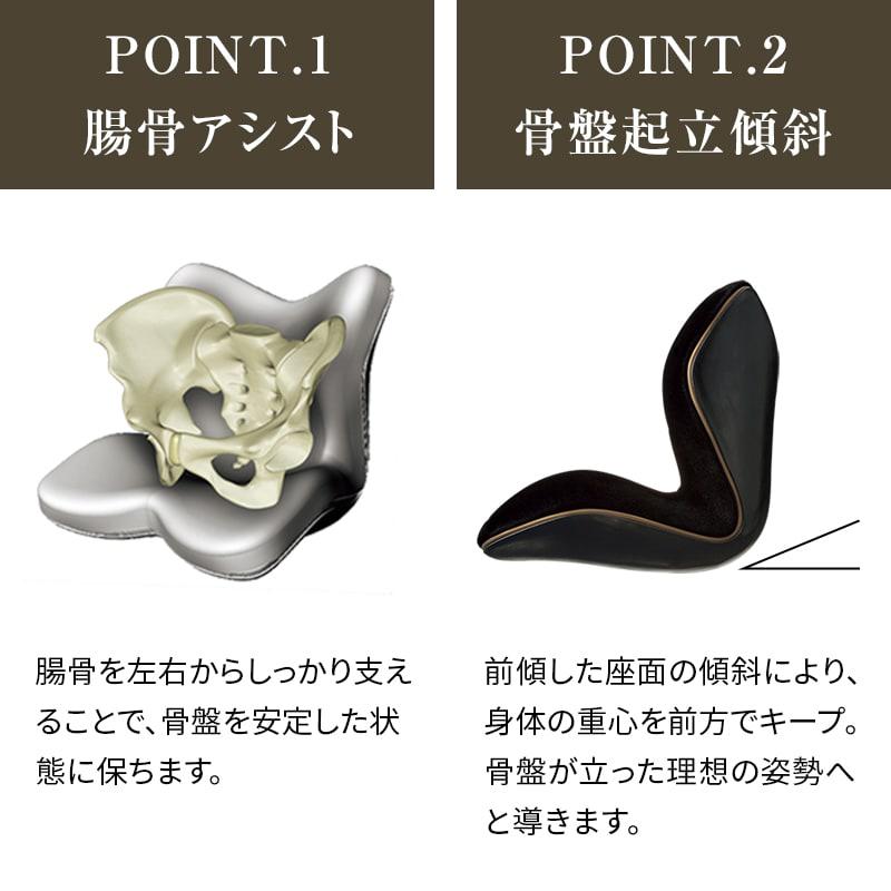 Style（スタイル） 姿勢ケアシート Style PREMIUM DX プレミアム