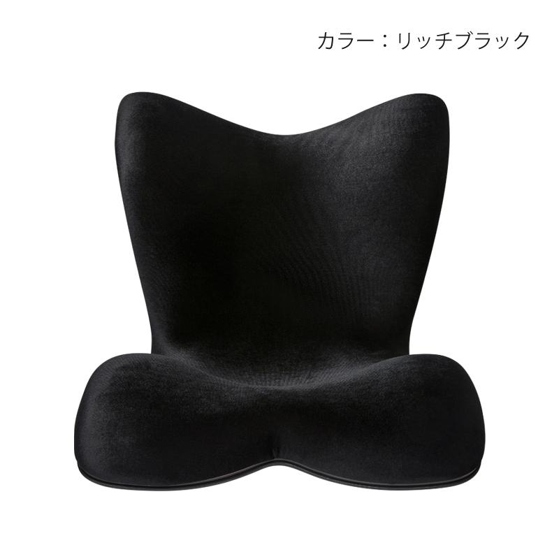 Style（スタイル） 姿勢ケアシート Style PREMIUM DX プレミアム