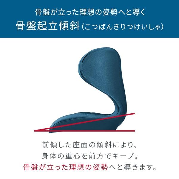 Style（スタイル） 姿勢ケアシート スマート MTG Style Smart 骨盤矯正